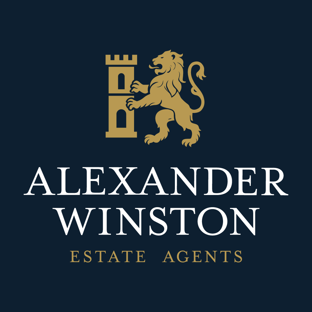 space-man-maintenance